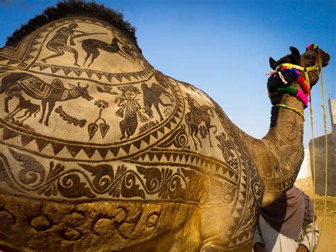 camel fair in india